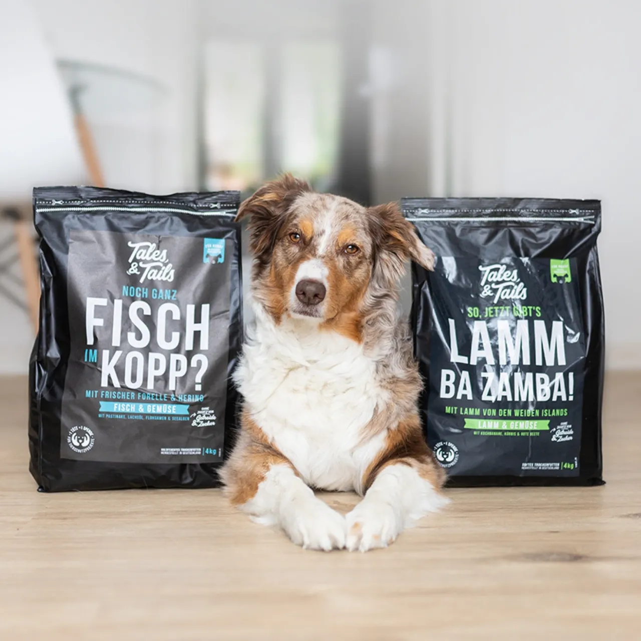 Jak wybrać dobrą suchą karmę dla psa?