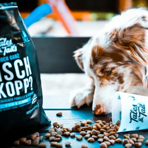 Co ma znaczenie przy wyborze suchej karmy dla psów?